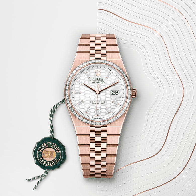 Rolex Land-Dweller 36, Oyster, 36 mm, Everose guld og diamanter, M127285TBR-0002