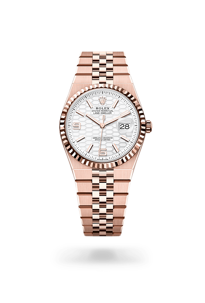 Rolex Land-Dweller 36Oyster, 36 mm, Everose guldM127235-0001 - Knud Pedersen