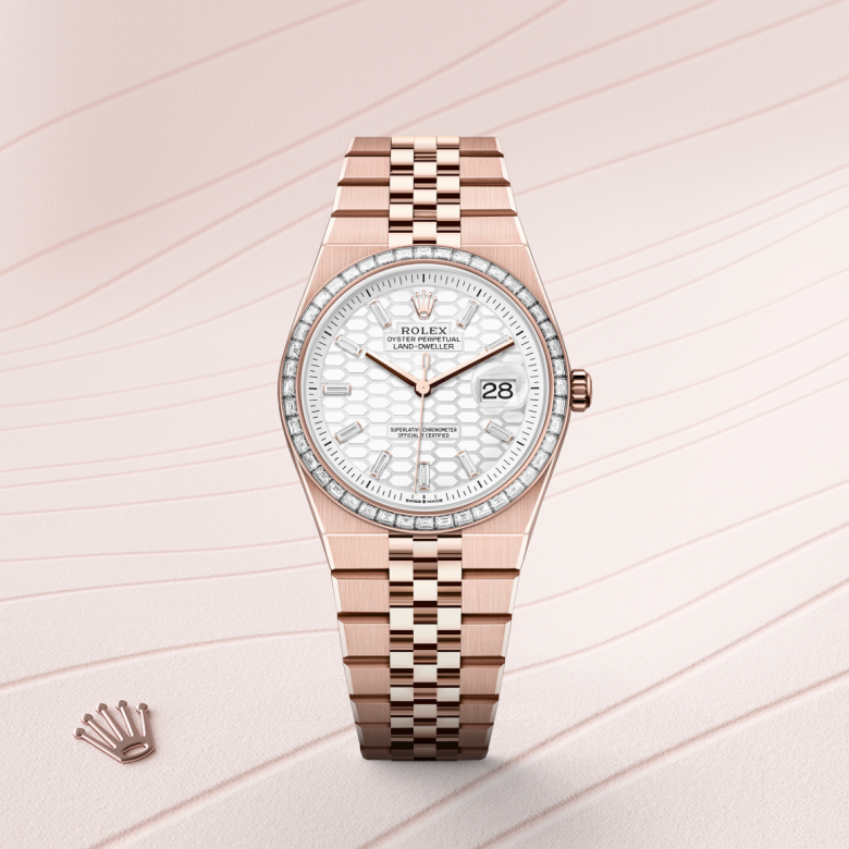 Rolex Land-Dweller 36, Oyster, 36 mm, Everose guld og diamanter, M127285TBR-0002