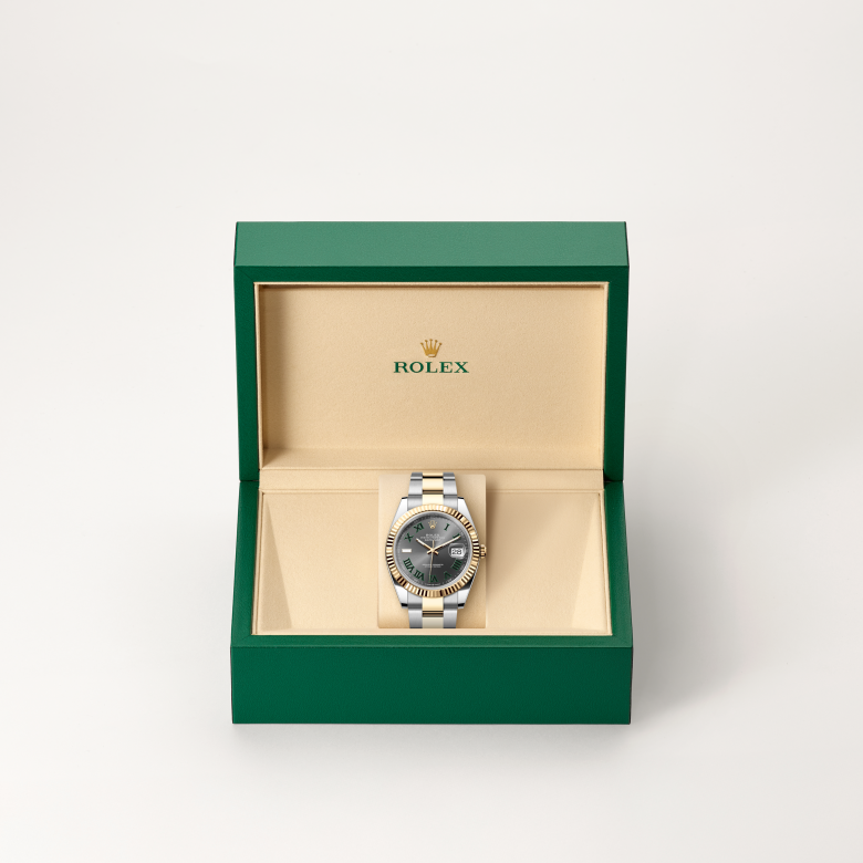 Rolex Datejust 41, Oyster, 41 mm, Oystersteel og gult guld, M126333-0019